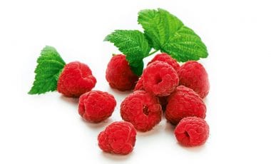 Himbeere – Hausapotheke im heimischen Garten