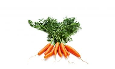 Karotte – knackige Wurzel fürs Wohlbefinden