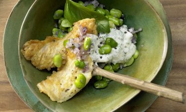 Knuspriges Rotbarschfilet auf zarten Saubohnen Knuspriges Rotbarschfilet auf zarten Saubohnen