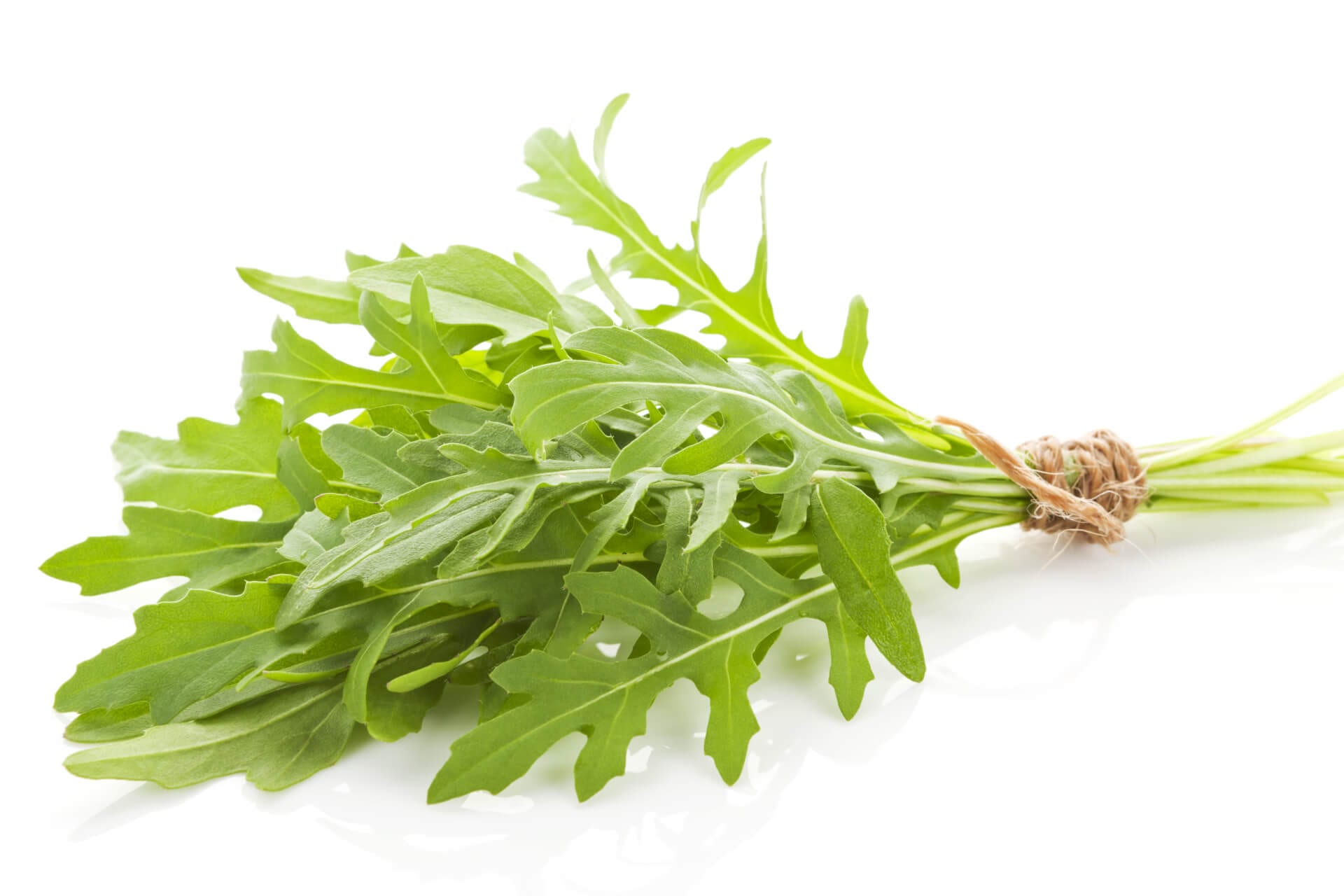 Rucola - für mediterranes Flair auf dem Salatteller | FreshMAG