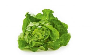 Kopfsalat – Vitaminbombe in grün