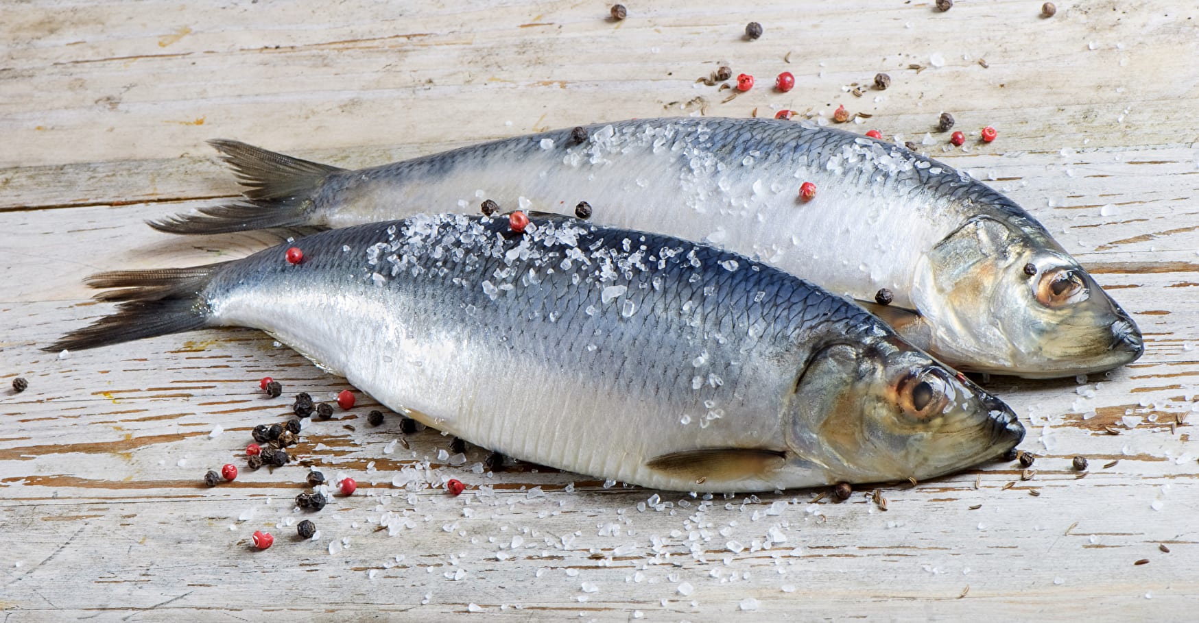Hering - Silberglänzender Fisch mit ausgezeichnetem Geschmack - FreshMAG