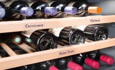 Optimale Luft für beste Weine!