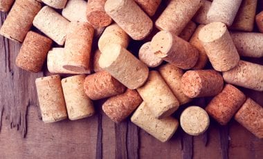 Bildergalerie – So entsteht Kork für Flaschen!