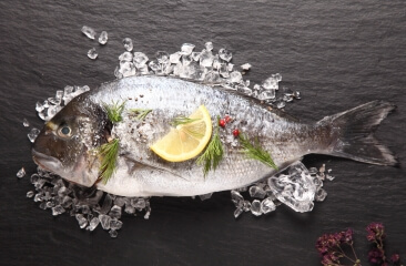 Forelle, Lachs, Thunfisch & Co.: So lagern Sie frischen Fisch richtig Forelle, Lachs, Thunfisch & Co.: So lagern Sie frischen Fisch richtig