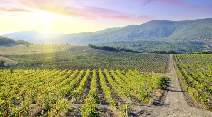 Barossa Valley Wein