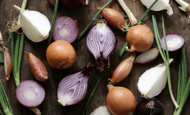 Zwiebel – gesunde Heilpflanze