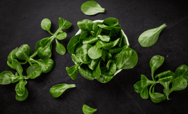 Feldsalat – Tipps für den optimalen Genuss