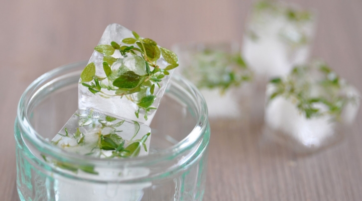 ice cubes with herbs