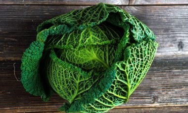 Wirsing – Wintergemüse gekocht und roh ein Genuss