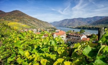 Darum sind die Weine aus der Wachau so besonders