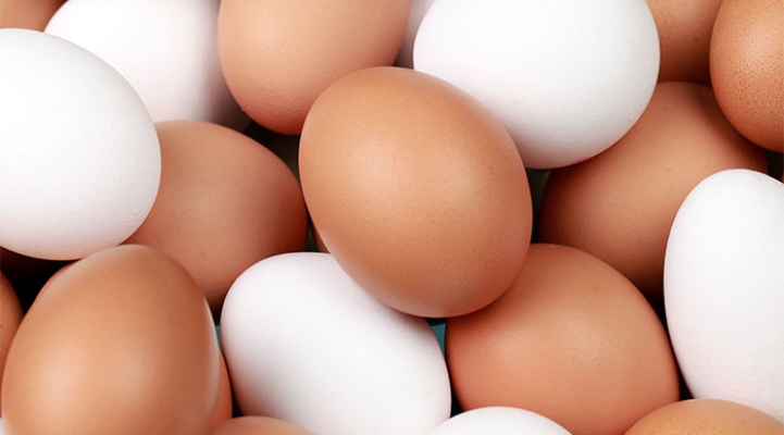 Ei, Eier, Fakten, Lebensmittel, Haltbarkeit, Salmonellen, Schutz, Essen, Huhn,