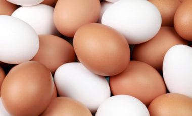 Das bedeutet der Code auf dem Ei