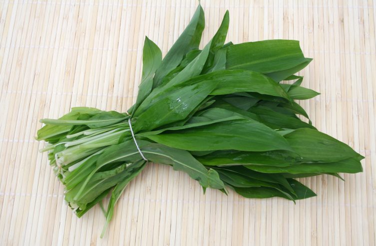 Bärlauch, Küchenkräuter,