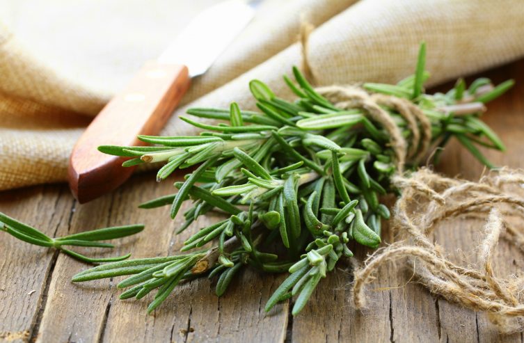 Rosmarin, Kräuter, gesund