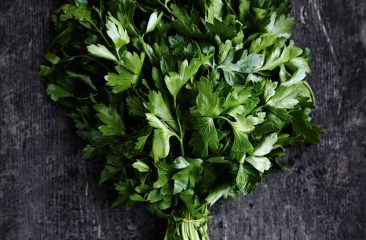 Frische Küchenkräuter – tolles Gewürz und sehr gesund Frische Küchenkräuter – tolles Gewürz und sehr gesund