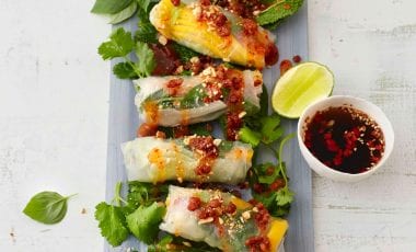 Frühlingsröllchen Frühlingsröllchen