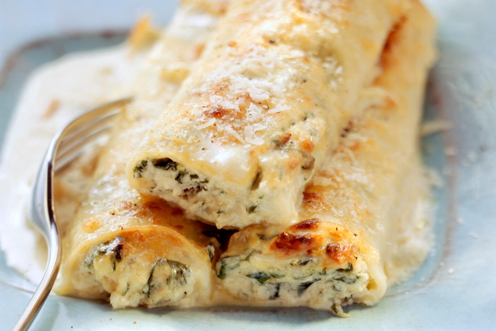 Cannelloni mit Ricotta und Spinat - FreshMAG