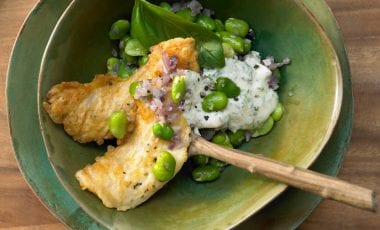 Knuspriges Rotbarschfilet auf zarten Saubohnen Knuspriges Rotbarschfilet auf zarten Saubohnen