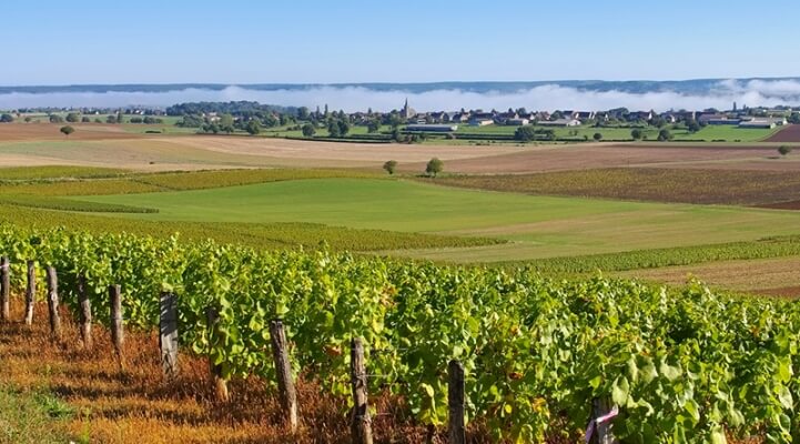 Burgund, Weinreise, Frankreich, Wein