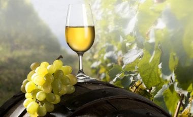 Von ganz oben: Weine aus Höhenlagen