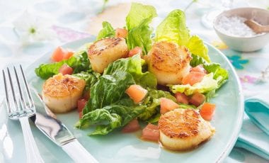 Jakobsmuscheln und Salat Jakobsmuscheln und Salat