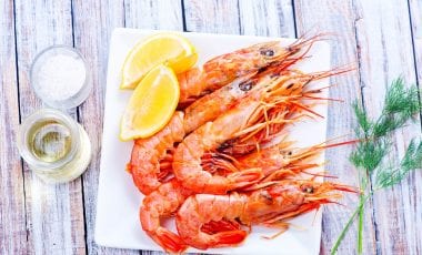 Krebse, Garnelen, Krabben, Hummer – Krustentiere entdecken