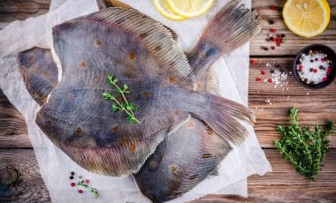 Scholle – Delikatesse vom Gewässergrund