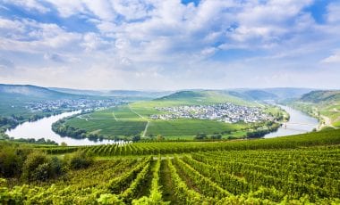 Promi-Weine: Günther Jauchs Weingut an der Saar