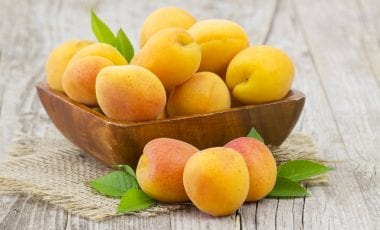 Aprikose oder Marille – Blütentraum und süßer Genuss