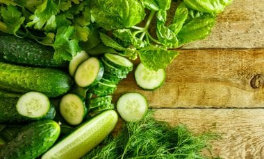 Gurke – erfrischendes Kürbisgewächs