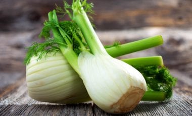 Fenchel – Heilkraut und schmackhaftes Gemüse