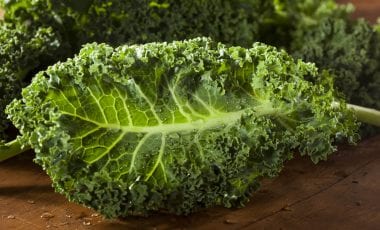 Grünkohl oder Kale – krauses Nährstoffwunder