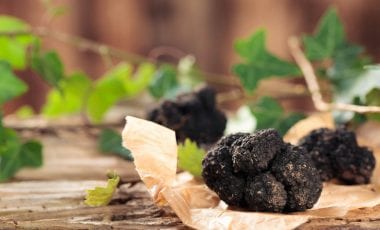 Trüffel – begehrter, teurer Pilz