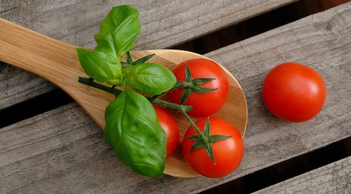 Basilikum mit Tomaten