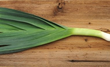 Lauch oder Porree – deftiges Gemüse und nützliches Küchengewürz
