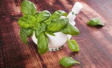 Basilikum – königliches Kraut mit exotischer Anmut