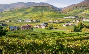 Wachau: Das bedeuten Steinfeder, Federspiel und Smaragd