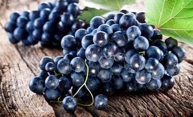 Pinotage – Südafrikas unverwechselbare Spezialität