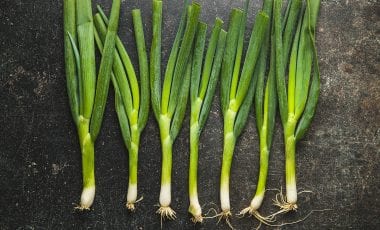 Lauchzwiebeln und welche Nährwerte sie enthalten