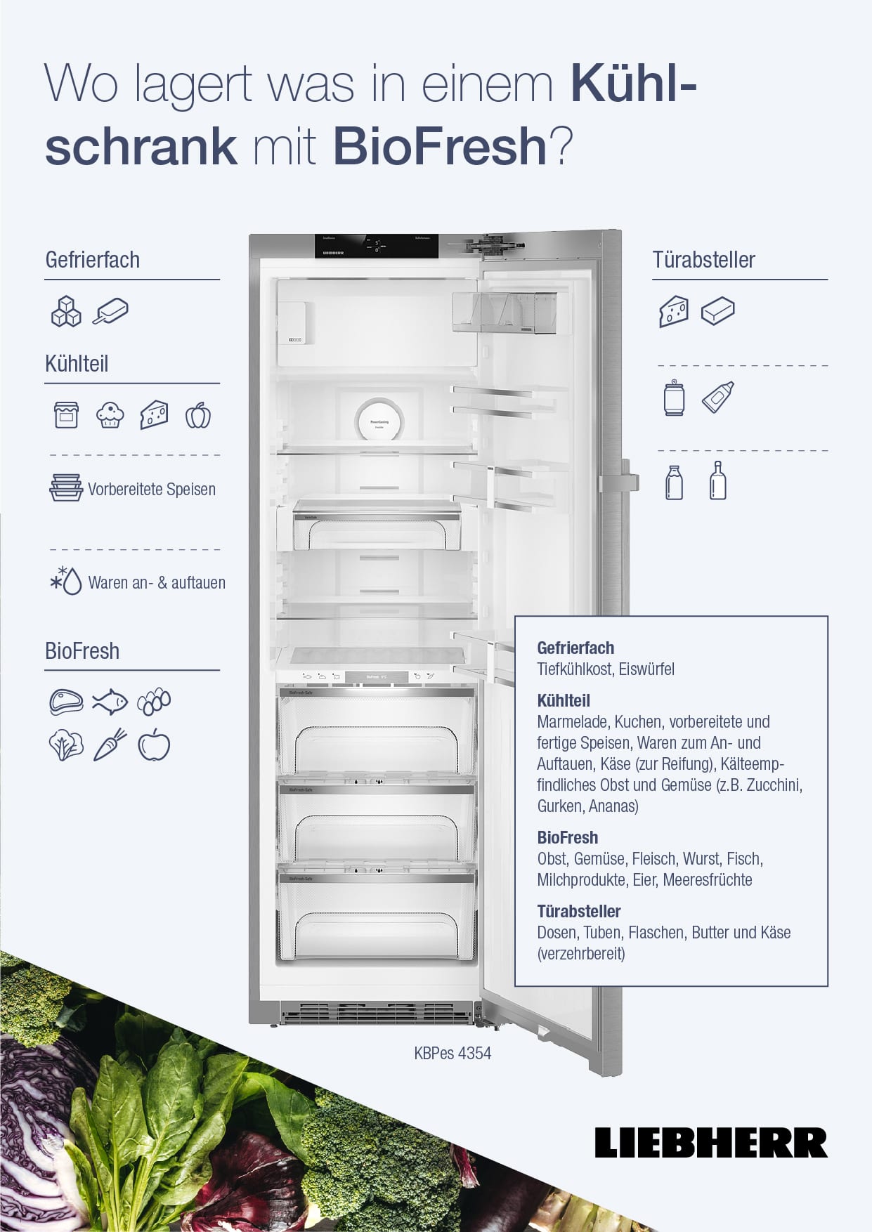Kühlschrank richtig einräumen: Die besten Tipps