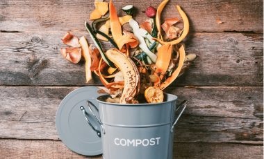 Tipps gegen Lebensmittelverschwendung – zu gut für die Tonne!