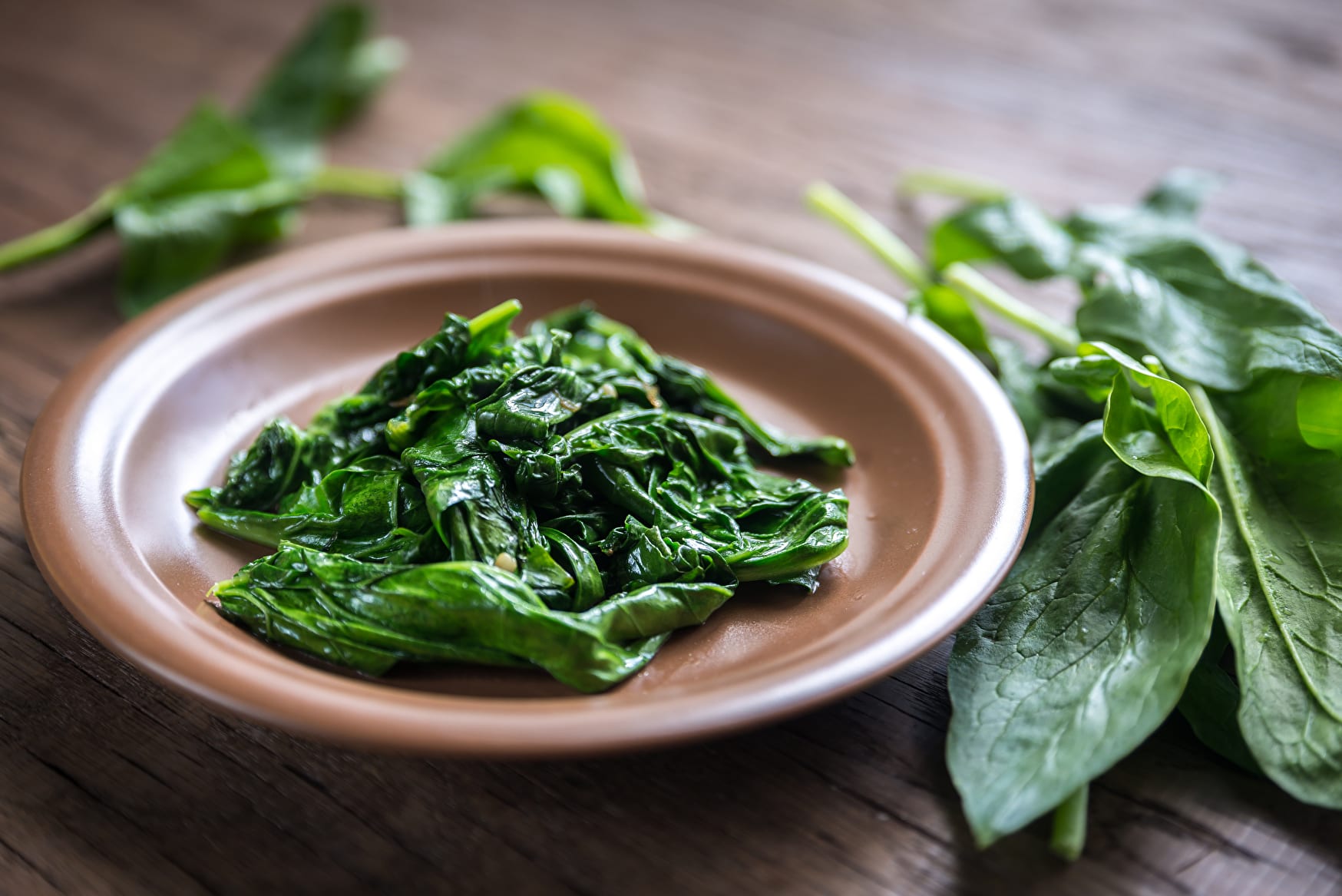Mythos: Spinat wieder aufwärmen – bloß nicht! - FreshMAG