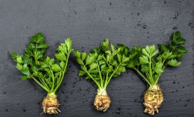 Sellerie – unverwechselbare Würzzutat