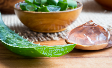 Aloe Vera – mehr als nur eine Zimmerpflanze