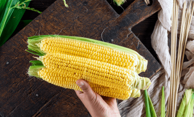 Mais – goldgelbes, süßes Getreide