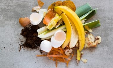 5 Tipps zur Verwertung von Lebensmittelabfällen