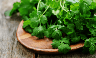 Koriander – ein Kraut mit polarisierender Kraft