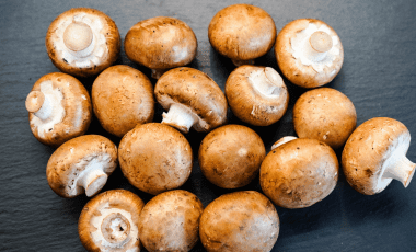 Pilze – würzige Delikatesse aus dem Wald