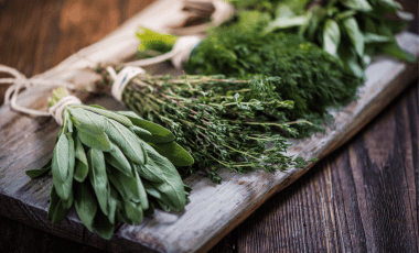 Bittere Note – süßer Beigeschmack